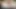 MILF Wife Squirting and Anal During Livestream!