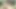 ladyboyfang accidental cum
