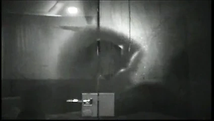 De gouden kooi claire huub duşta seks