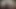 VIDEO 311