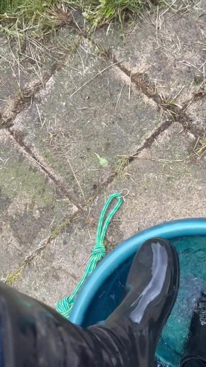 Güzellerimin içine boşalıyorum. Başka ne almalı??