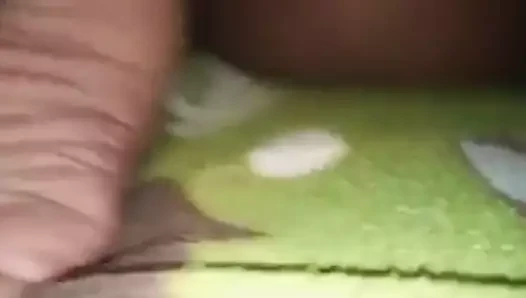 Köpek sikme ile eş ve ıslak kedi, sert