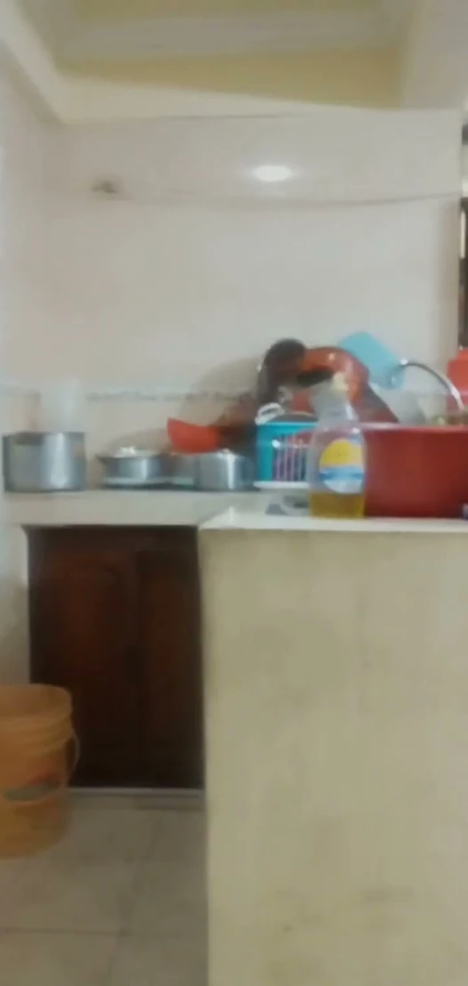 Hizmetçi bulaşıkları yıkadığında sikiliyor