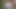 Örnek video
