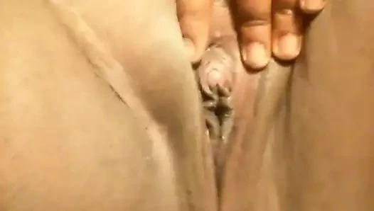 sulu kedi