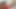Orta yaşlı seksi dolandırıcı Venüs genç adama oral seks öğretiyor