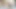 Traş kedi ile amatör azgın olgun milf – anal mastürbasyon