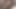 Groobygirls: cennet gülünün tatlı kokusu