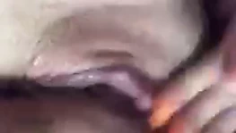 oyuncak içinde KEDİ