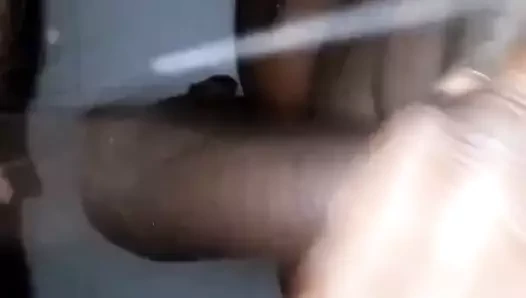 That1kid beat üzerinde eş kedi