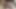 digi