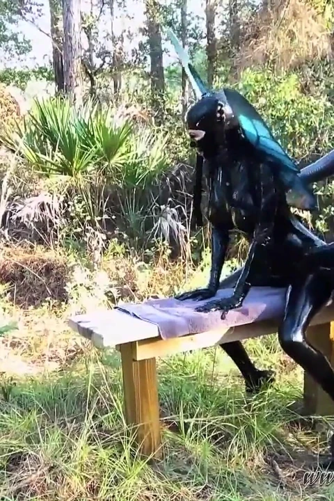 Ormanda sikilen gotik peri