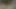 Yas tutmak baştan çıkarıcı bir cezbediciye dönüşüyor