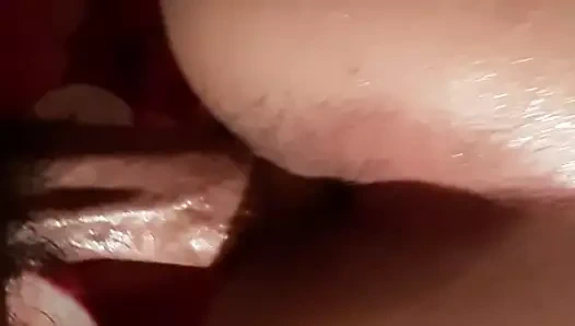 İyi bir fars kedi sikme