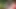 Kaç sığabilir? Grup seks için grup seks kraliçesine yumruk sokuyor