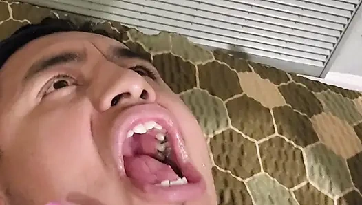 Даси, твоя богиня