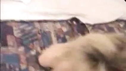 Trishas kocası fm 14 tüm parasını kaybetti