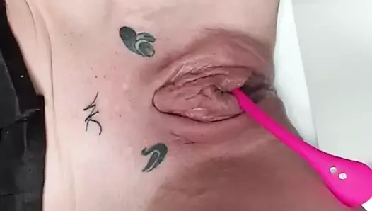 şaplak KEDİ yakın çekim