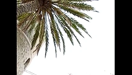 La confraternita - rahibeler (kamaster)