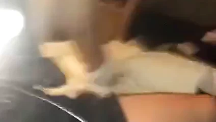 Gf melissa el işi unvanı