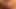 Seksi bbw masturbates üzerinde web kamerası