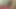Büyük memeli orta yaşlı seksi kadın bir adama sakso çekiyor ve ağzına boşalmanın tadını çıkarıyor