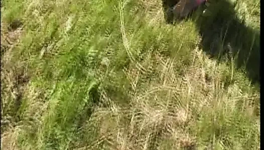 Calore #04 - cilt #06'da Caslinghe