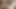 Amında büyük dildo ile fotoğraf çekimi
