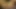 Hotkinkyjo da amına yumruk sokuyor