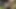 Azgın hatunlar dildo açık havada ıslak amcıkları sikiyor