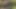 Ormanın ortasında sikiliyor ve yüzüme güzel bir döl alıyorum.
