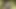 Hucow orta yaşlı seksi kadın memelerini sağıyor kamera 4