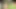 Seksi bebek Chelsie Rae açık havada ırklararası seksin tadını çıkarıyor