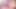 Yalamak için bir amcık mı yoksa binmek için bir yarak mı istiyorlar? Ranma hepsini yapabilir! - Porno parodi fragmanı