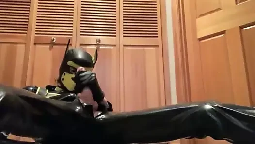 köpek yavrusu yapar bir cummy