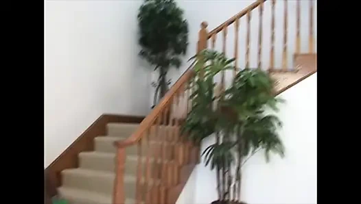 Alana Evans ıslak amında büyük ve siyahı seviyor ve boşalma