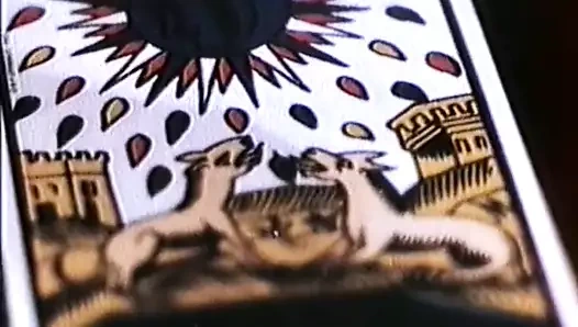 Islak bir kedinin 9 hayatı