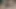 Hintli kız kardeş büyük yarak emmeyi seviyor, seksi sakso, şehvetli sakso