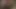 patiska teaser 8
