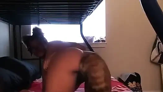 Kitty oyun zamanı istiyor