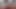 Pazar günleri gösteri ve fışkırtma