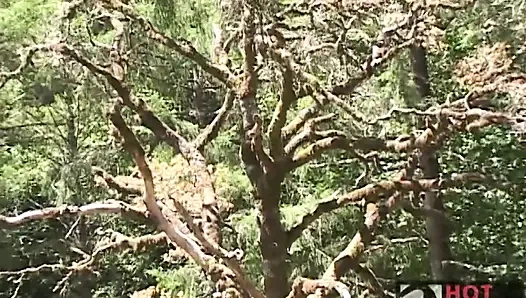 Sert dağ: taşrada 2