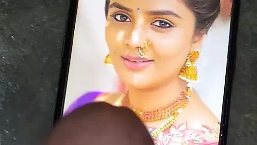 Sreemuki döl haraç