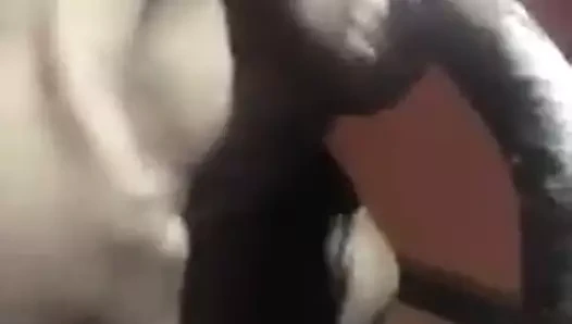 tranny yutar size12 bbc