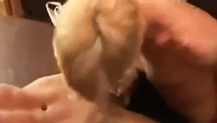 gay sarışın cadı alır onun dilek