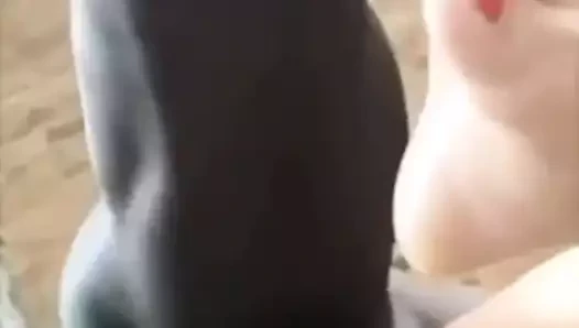 cuckold koca saatler boğa