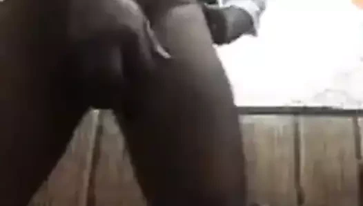 Pakistan dik bear baba