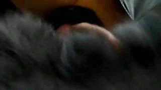 Bayan tanja tarafından kürk işkencesi