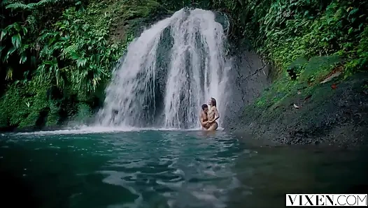 Vixen işleri yoluna getirdi