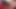 Tinder Ayakları – TAWorship